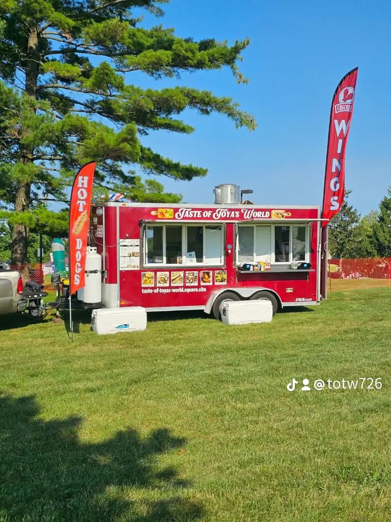 Taste Of Toya’s World , LLC food truck profile image