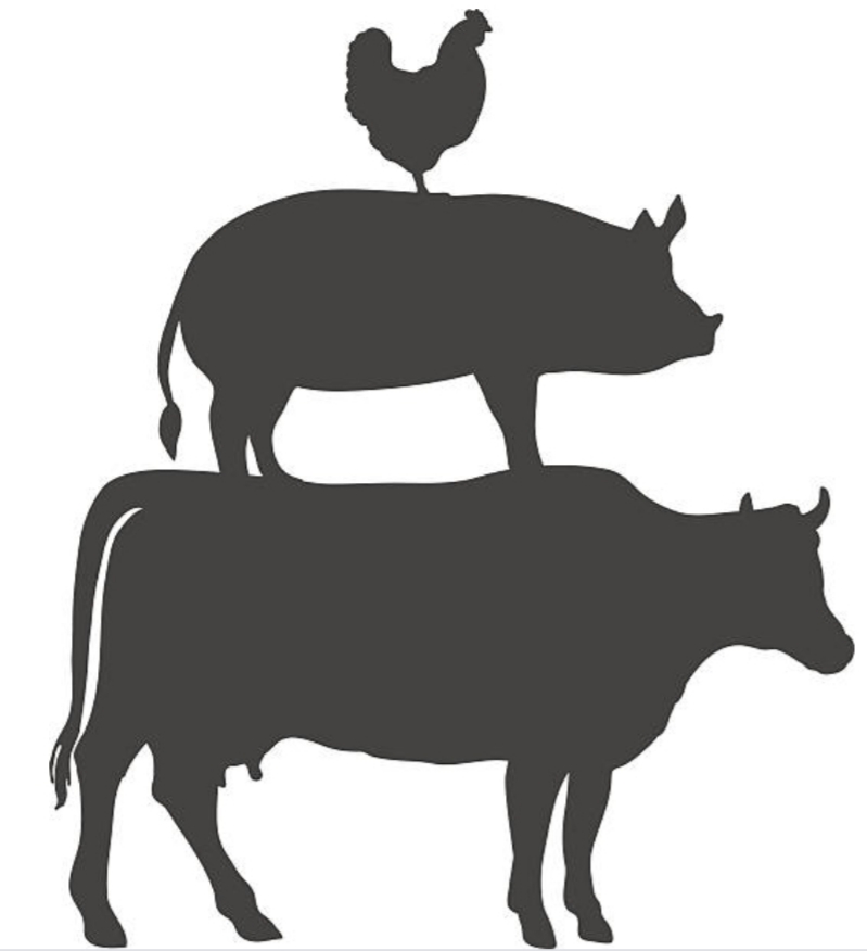 DDs BBQ Company food truck profile image