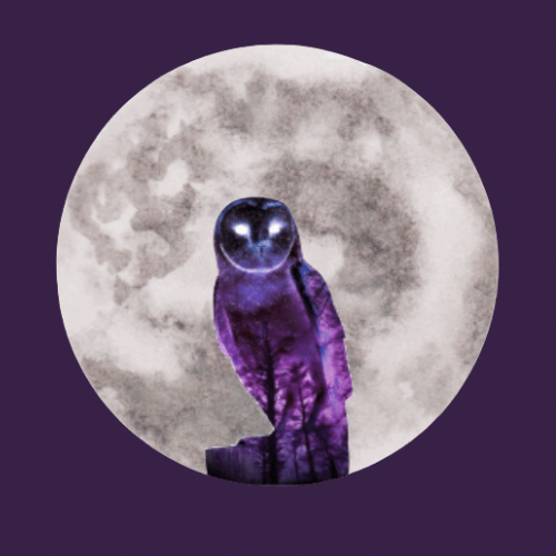 Night Owls food truck profile image