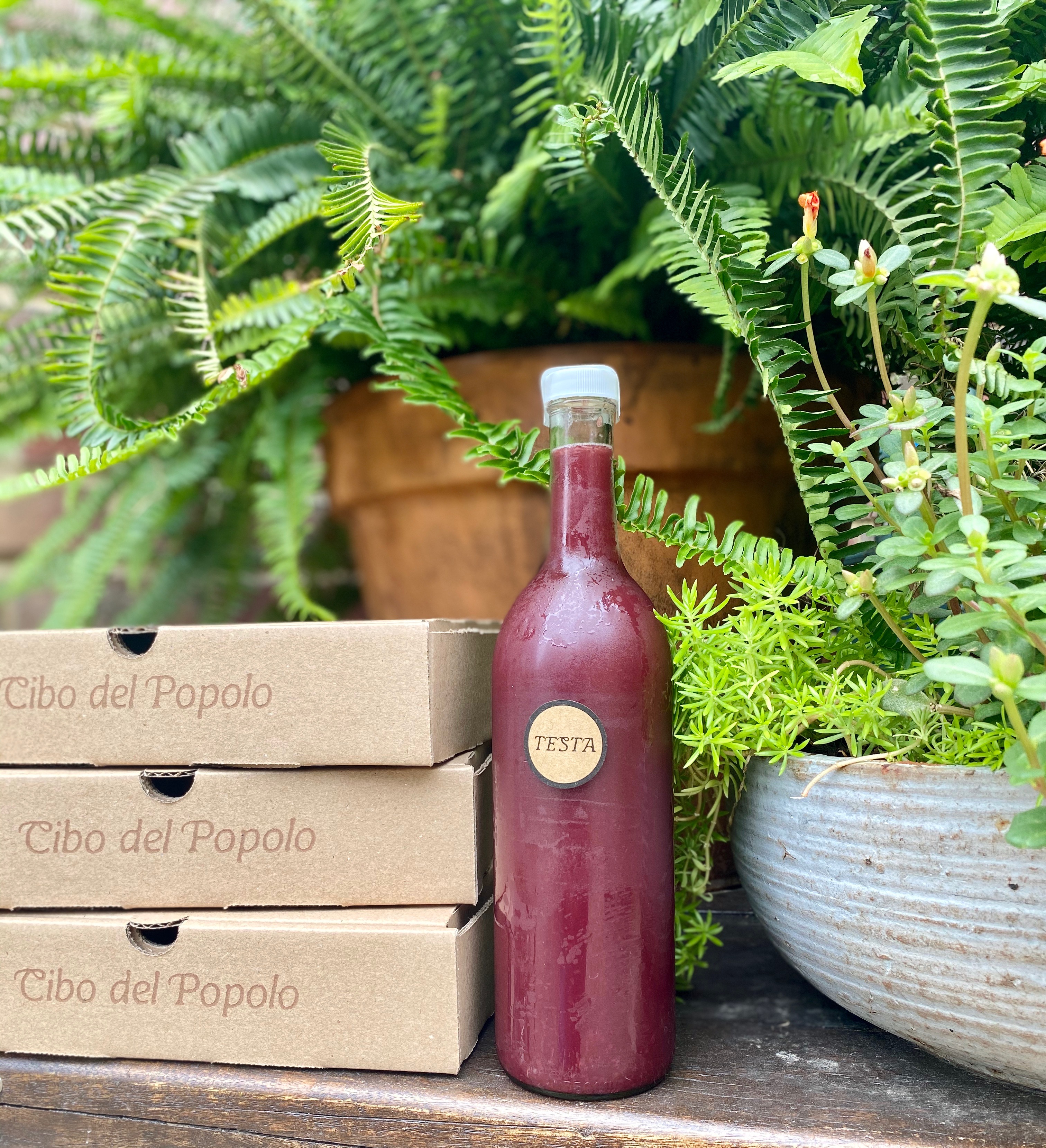 Testa 2 You, Mobile Oven Experience food truck profile image